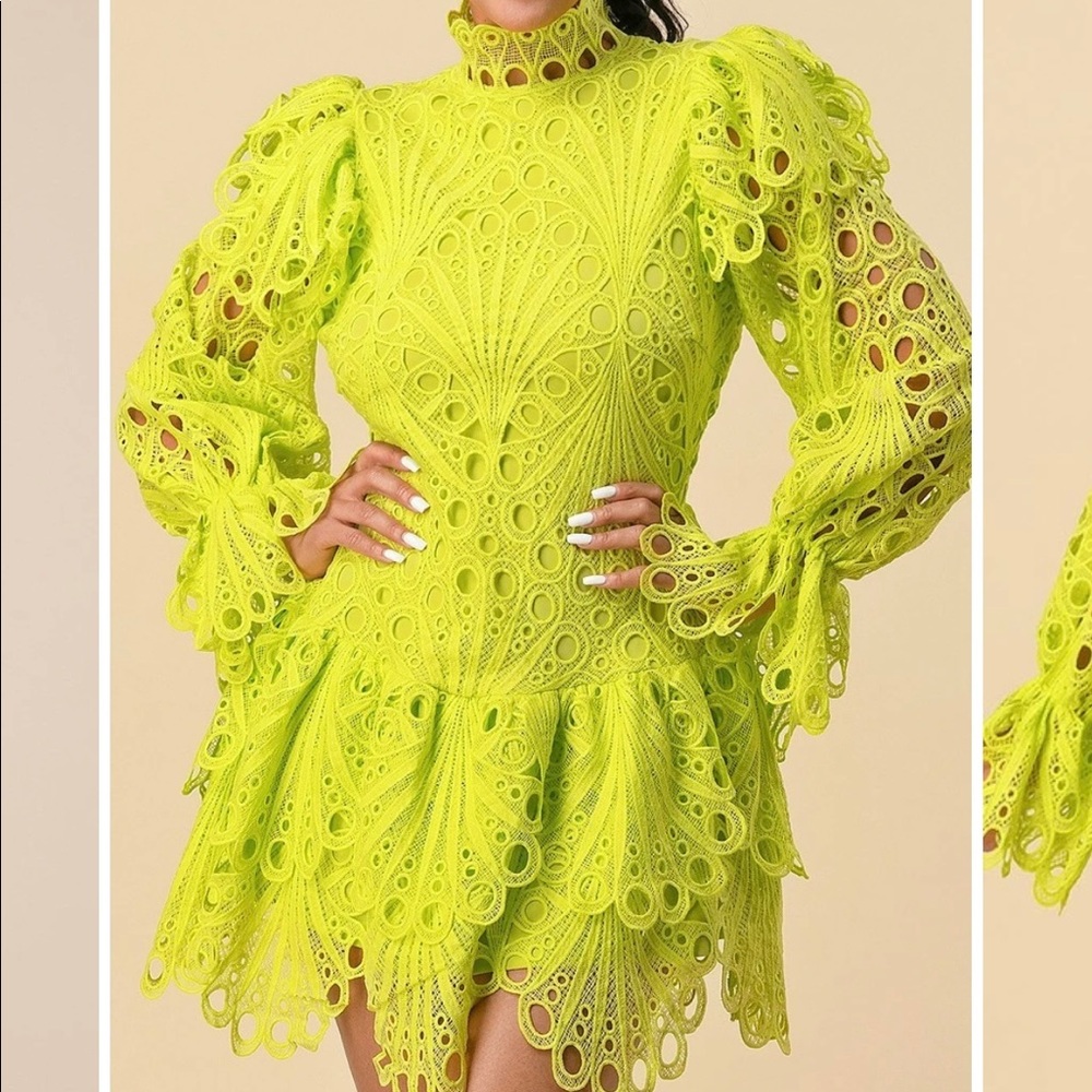 Crotchet embroidery ruffle mini dress